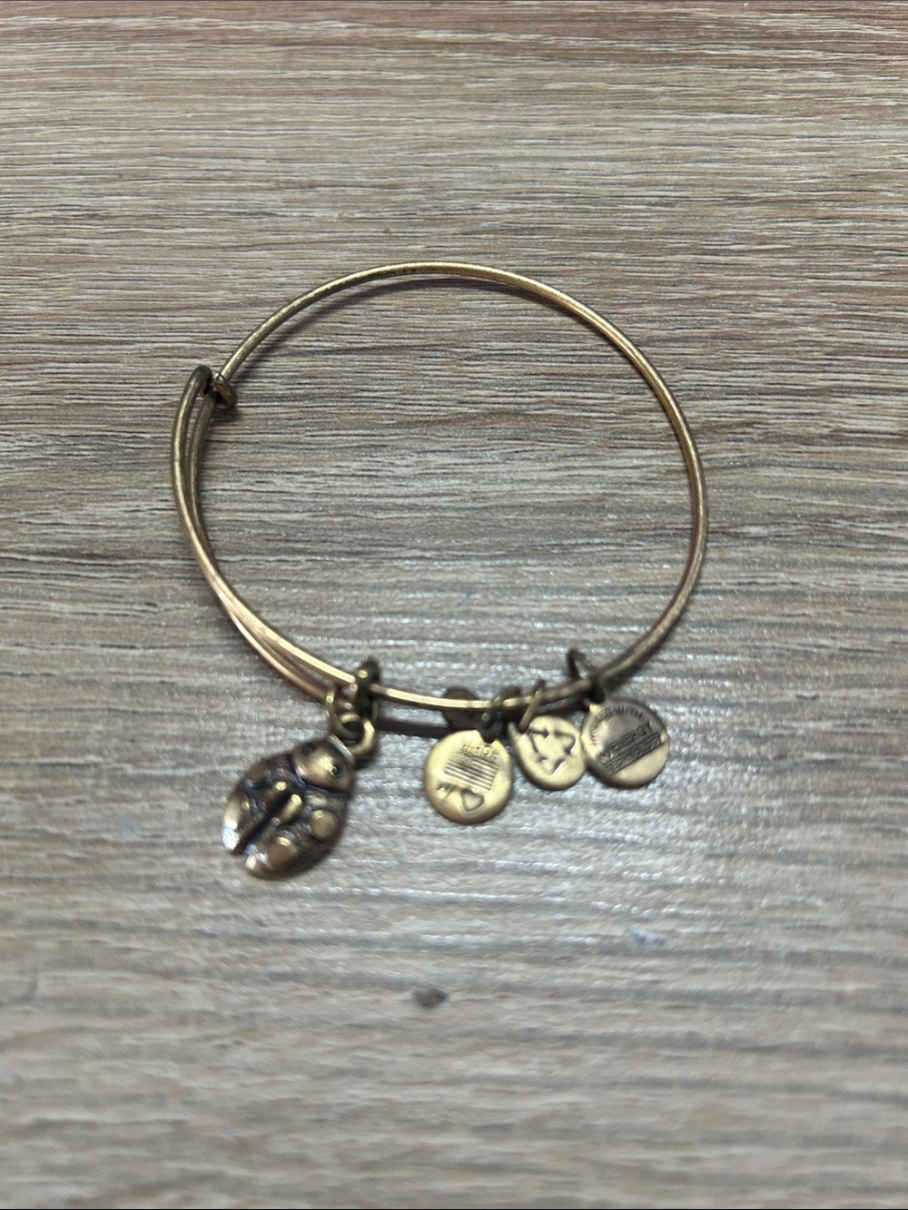 Alex and Ani Gold-Tone Ladybug Charm Bangle Bracelet